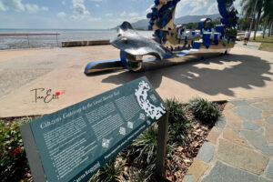 Mehr über den Artikel erfahren Cairns – Australien